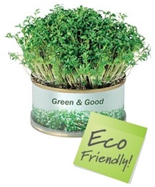 Product Feature: Promotional Eco Seeds and Plants