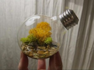 Lightbulb Planter