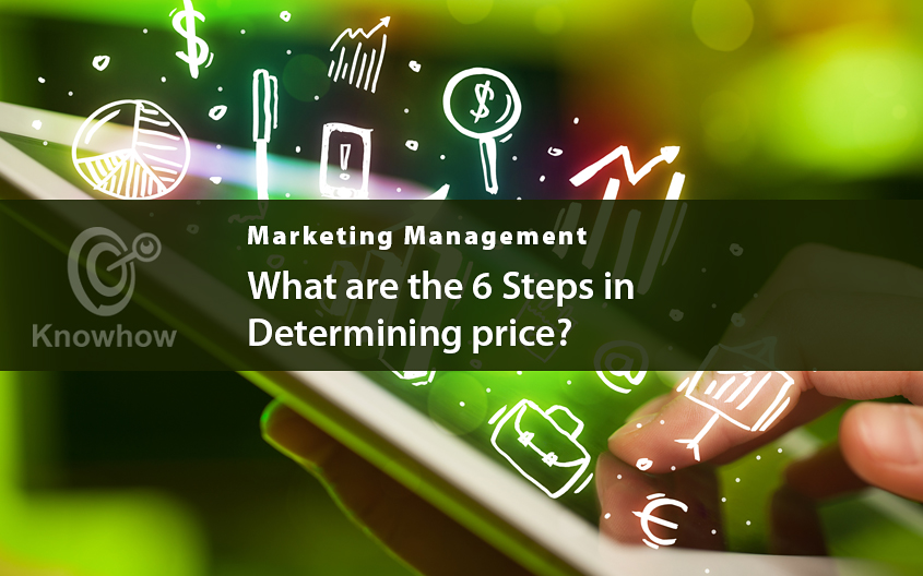 What are the 6 Steps in Determining Price?