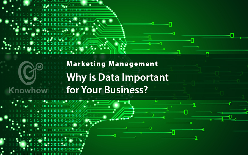 Why is Data Important for Your Business? | GoPromotional ...