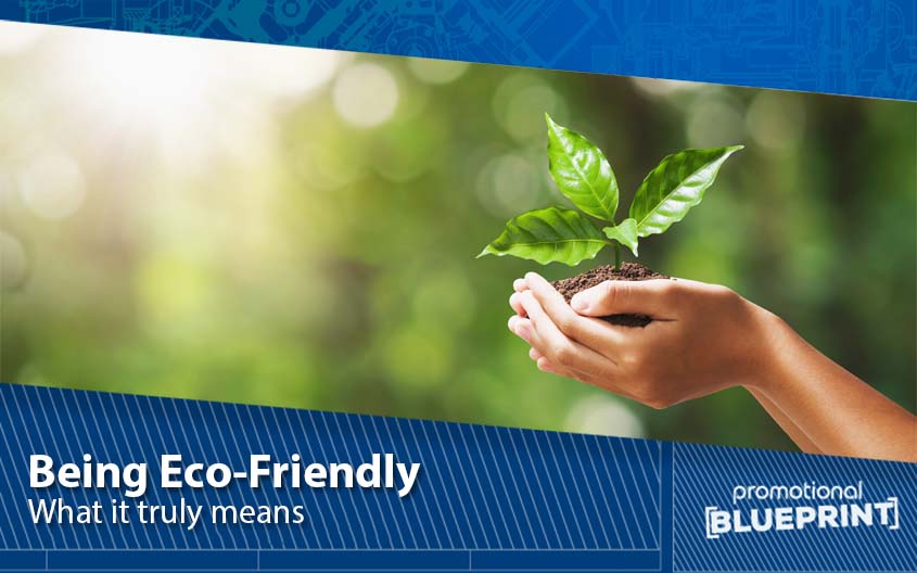 What It Truly Means to Be Eco-Friendly
