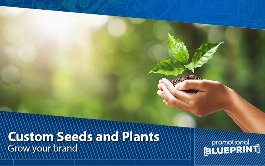 Grow Your Brand With Custom Seeds and Plants