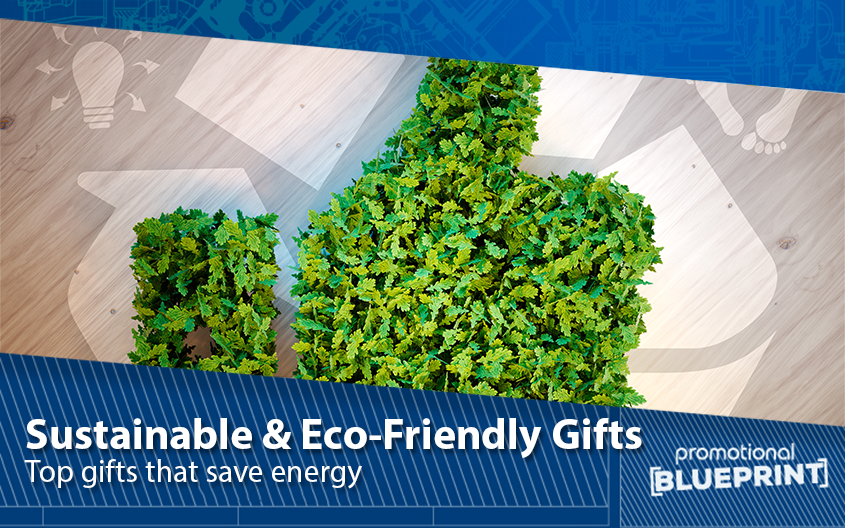 Top Sustainable and Eco-Friendly Gifts that Save Energy