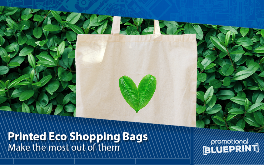 Make the Most Out of Eco Shopping Bags
