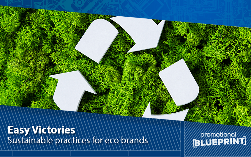 Easy Victories: Sustainable Practices for Eco-Friendly Brands